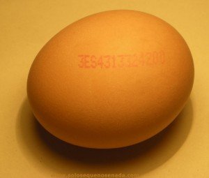 00-codigo-huevo-1